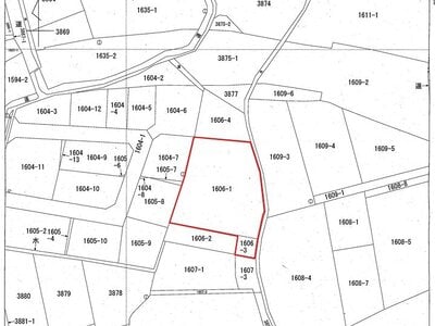 山梨県都留市 東桂駅8分 農地 50万円の国税庁公売物件 #2