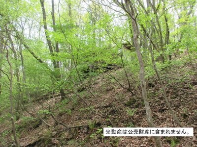 長野県北佐久郡軽井沢町 中軽井沢駅 戸建て 320万円の国税庁公売物件 #2