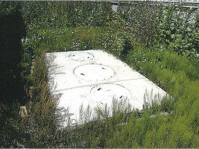 北海道根室市 戸建て 703万円の競売物件 #11