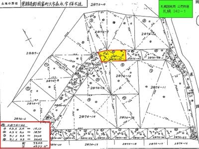 (値下げ) 宮崎県東諸県郡国富町 土地 93万円の国税庁公売物件 #8