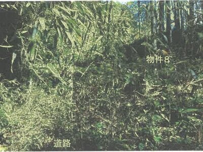 (値下げ) 栃木県大田原市 土地 28万円の競売物件 #3