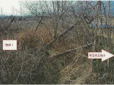 山梨県南アルプス市 塩崎駅 農地 112万円の競売物件 #11