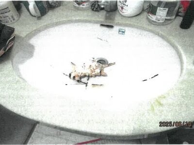 大阪府大阪市生野区 桃谷駅10分 戸建て 868万円の競売物件 #7
