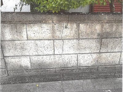 大阪府藤井寺市 古市駅16分 戸建て 381万円の競売物件 #2