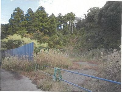 東京都大島町 土地 215万円の競売物件 #1