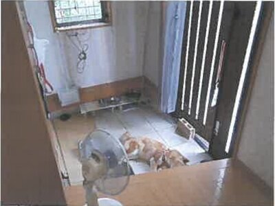 広島県広島市西区 草津南駅8分 戸建て 1,067万円の競売物件 #7