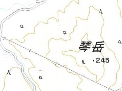 鹿児島県熊毛郡屋久島町 戸建て 578万円の競売物件 #14
