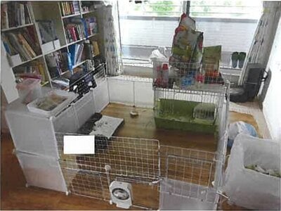岩手県岩手郡雫石町 雫石駅 戸建て 2,625万円の競売物件 #10