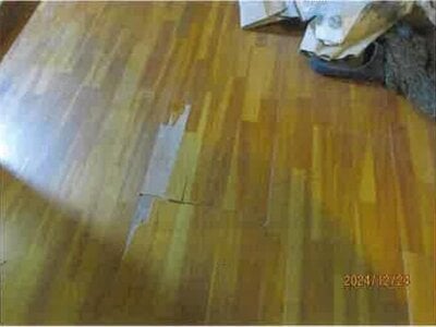 大阪府岸和田市 春木駅5分 戸建て 76万円の競売物件 #6