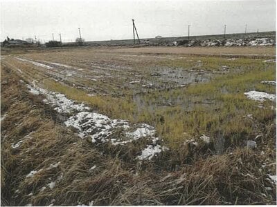 (値下げ) 新潟県新潟市北区 早通駅 農地 14万円の競売物件 #2
