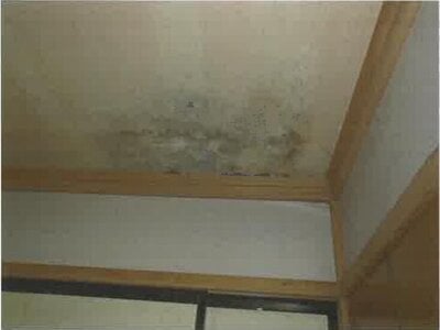 静岡県牧之原市 戸建て 541万円の競売物件 #12