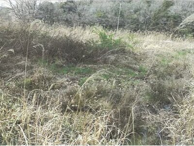 兵庫県加古川市 小野町駅 農地 75万円の競売物件 #10