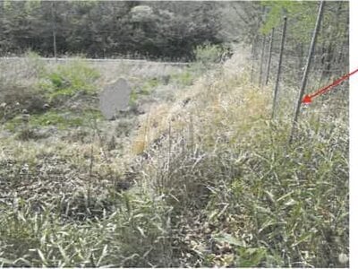 兵庫県加古川市 小野町駅 農地 75万円の競売物件 #14