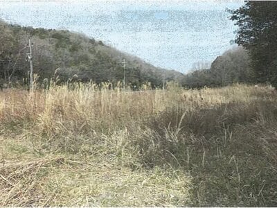 兵庫県加古川市 小野町駅 農地 75万円の競売物件 #8