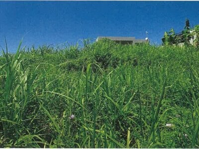 沖縄県国頭郡本部町 土地 240万円の競売物件 #1