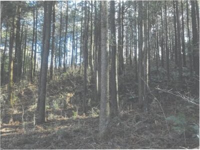 (値下げ) 茨城県桜川市 岩瀬駅23分 土地 68万円の競売物件 #2