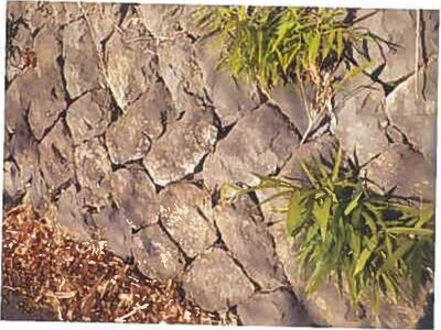 長野県諏訪郡下諏訪町 下諏訪駅16分 戸建て 152万円の競売物件 #16