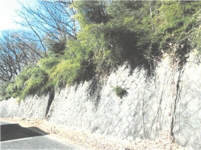(値下げ) 群馬県桐生市 丸山下駅10分 土地 21万円の競売物件 #2
