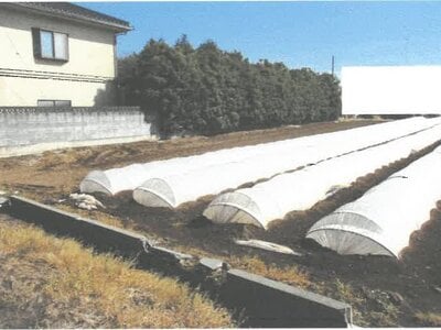 茨城県結城郡八千代町 下妻駅 農地 215万円の競売物件 #6
