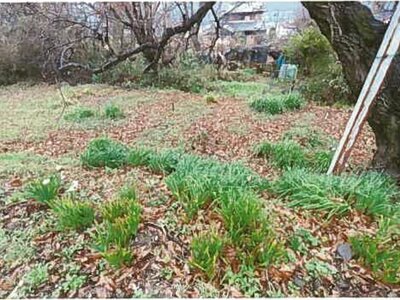 (値下げ) 和歌山県橋本市 橋本駅2分 農地 17万円の競売物件 #3