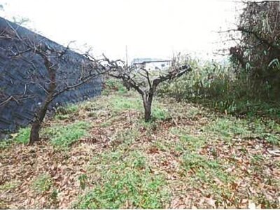 (値下げ) 和歌山県橋本市 橋本駅2分 農地 17万円の競売物件 #6