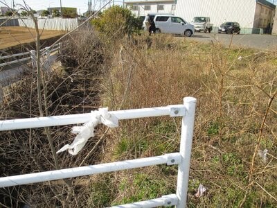 千葉県千葉市中央区 学園前駅20分 土地 198万円の官公庁公売物件 #6