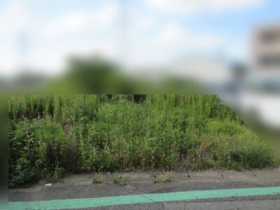 千葉県千葉市中央区 学園前駅20分 土地 198万円の官公庁公売物件 #9