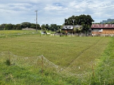 兵庫県洲本市 農地 25万円の官公庁公売物件 #1
