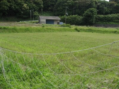 兵庫県洲本市 農地 25万円の官公庁公売物件 #2