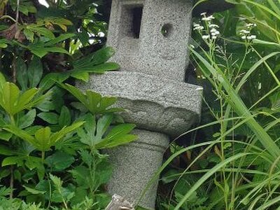 新潟県長岡市 桐原駅 土地 445万円の官公庁公売物件 #5