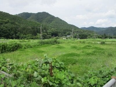 兵庫県丹波市 下滝駅17分 農地 5万円の官公庁公売物件 #1