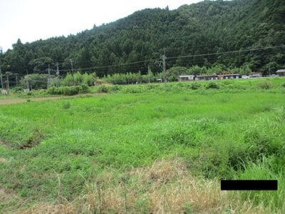 兵庫県丹波市 下滝駅17分 農地 5万円の官公庁公売物件 #2
