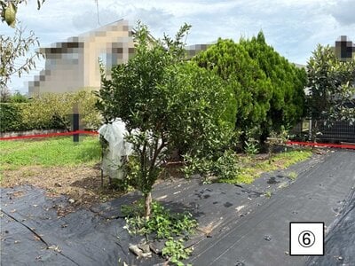 熊本県菊池郡菊陽町 三里木駅19分 土地 48万円の官公庁公売物件 #6