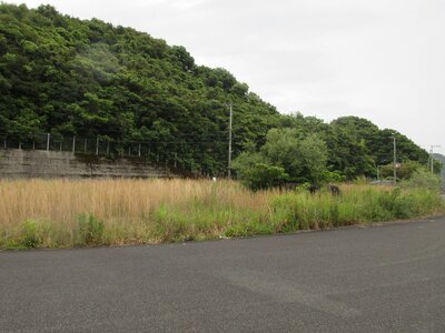 高知県須崎市 日下駅 土地 630万円の官公庁公売物件 #3