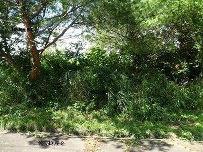 (値下げ) 岡山県真庭市 土地 34万円の官公庁公売物件 #2