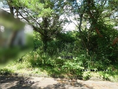 (値下げ) 岡山県真庭市 土地 34万円の官公庁公売物件 #3