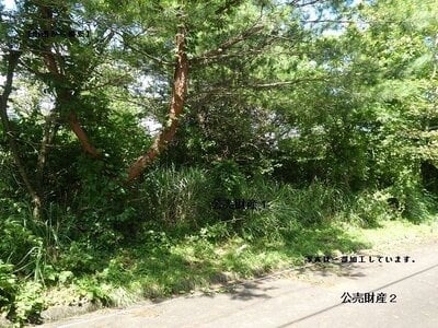 (値下げ) 岡山県真庭市 土地 34万円の官公庁公売物件 #4