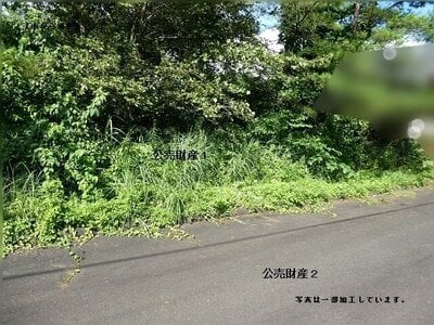 (値下げ) 岡山県真庭市 土地 41万円の官公庁公売物件 #3