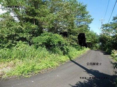(値下げ) 岡山県真庭市 土地 41万円の官公庁公売物件 #4