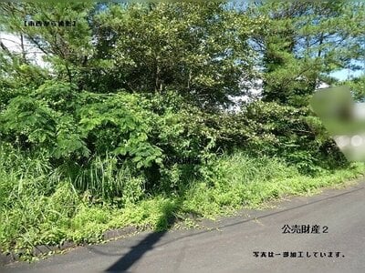 (値下げ) 岡山県真庭市 土地 41万円の官公庁公売物件 #5