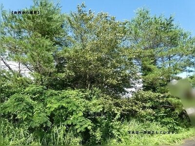 (値下げ) 岡山県真庭市 土地 41万円の官公庁公売物件 #6