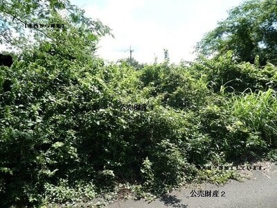 (値下げ) 岡山県真庭市 土地 129万円の官公庁公売物件 #4