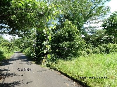 (値下げ) 岡山県真庭市 土地 129万円の官公庁公売物件 #9