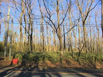 栃木県那須郡那須町 土地 16万円の官公庁公売物件 #1