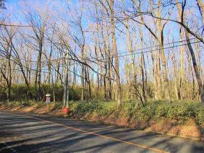 栃木県那須郡那須町 土地 16万円の官公庁公売物件 #2