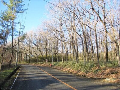 栃木県那須郡那須町 土地 16万円の官公庁公売物件 #3