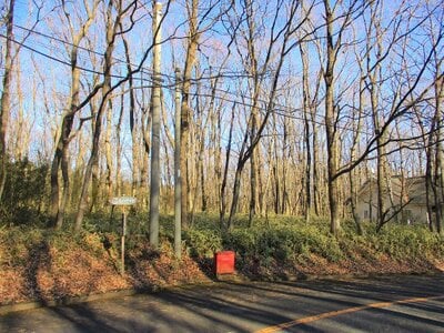 栃木県那須郡那須町 土地 16万円の官公庁公売物件 #4