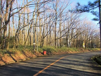 栃木県那須郡那須町 土地 16万円の官公庁公売物件 #5