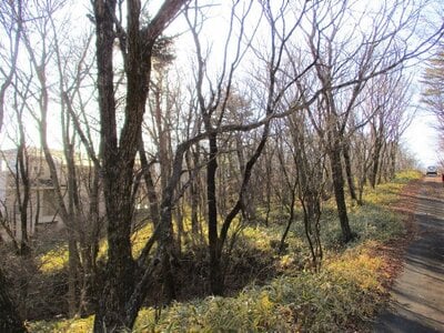 栃木県那須郡那須町 土地 75万円の官公庁公売物件 #1