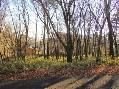 栃木県那須郡那須町 土地 75万円の官公庁公売物件 #2